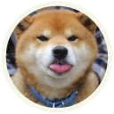 😋