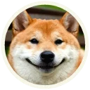😊