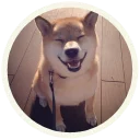 😄