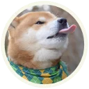 😝