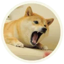 😡