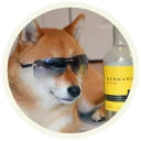 😎