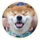 😄