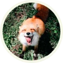 😄