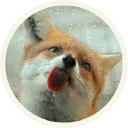 😛