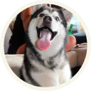 😄