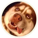 😜